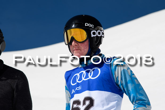 Ski Golf Masters 2018, Riesenslalom