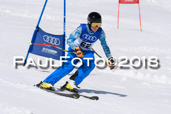 Ski Golf Masters 2018, Riesenslalom