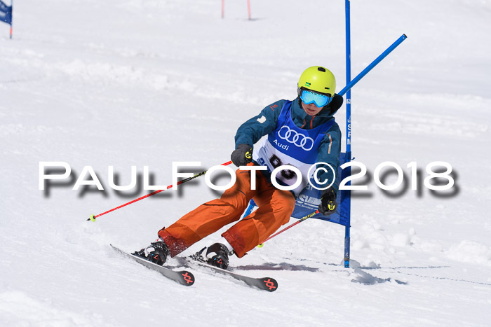 Ski Golf Masters 2018, Riesenslalom