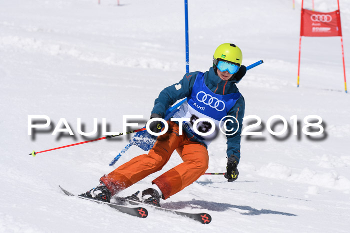 Ski Golf Masters 2018, Riesenslalom