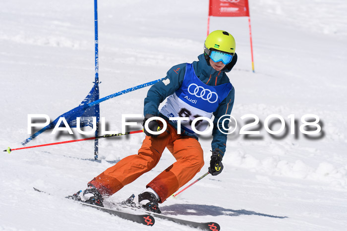Ski Golf Masters 2018, Riesenslalom