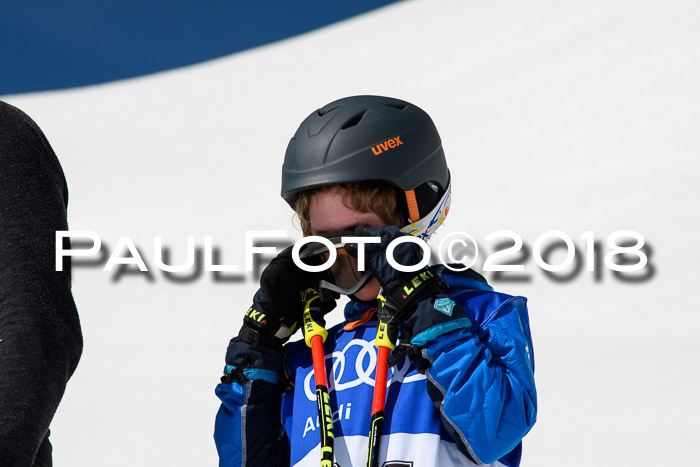 Ski Golf Masters 2018, Riesenslalom