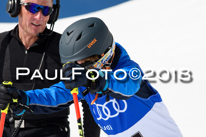 Ski Golf Masters 2018, Riesenslalom