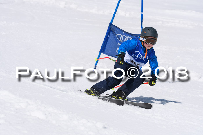 Ski Golf Masters 2018, Riesenslalom