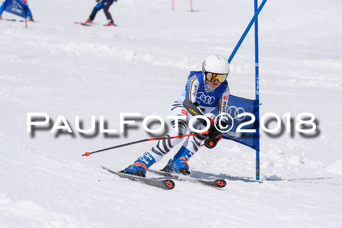 Ski Golf Masters 2018, Riesenslalom