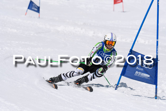 Ski Golf Masters 2018, Riesenslalom