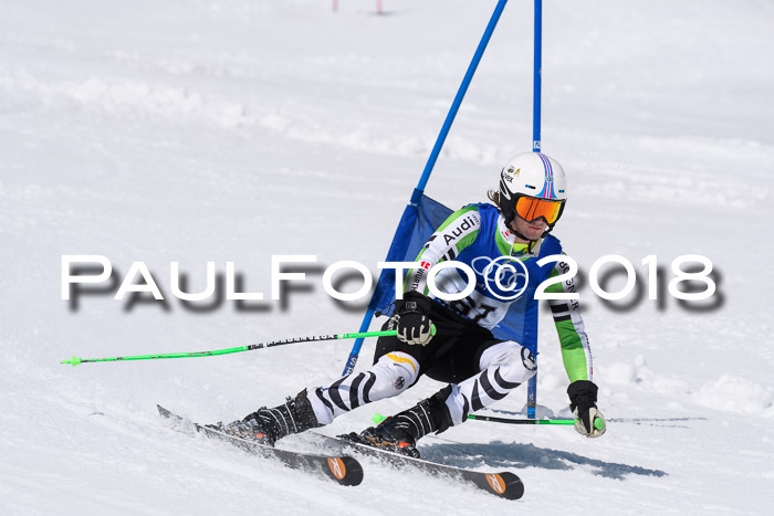 Ski Golf Masters 2018, Riesenslalom
