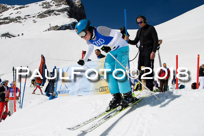 Ski Golf Masters 2018, Riesenslalom