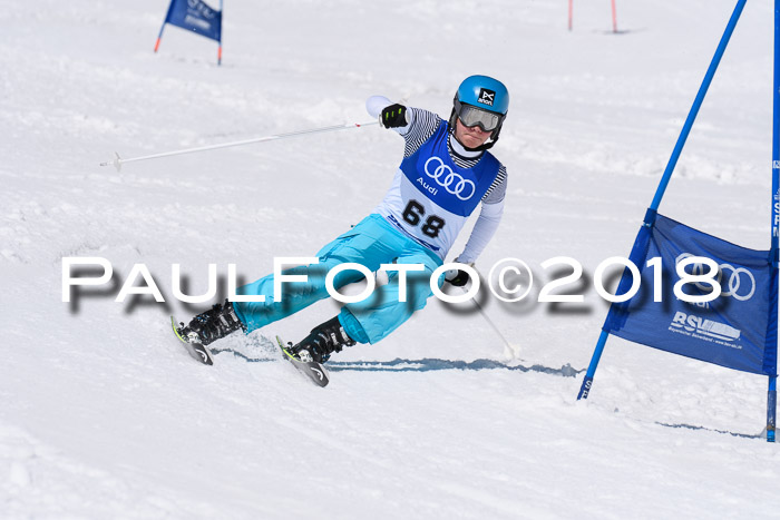 Ski Golf Masters 2018, Riesenslalom
