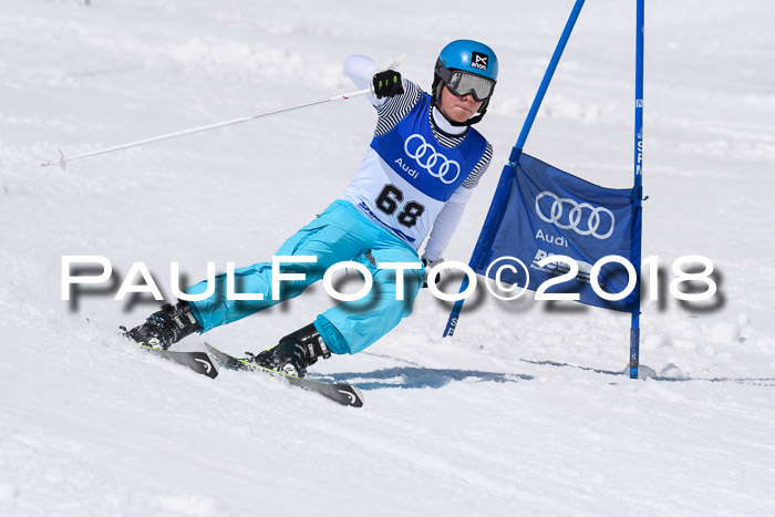 Ski Golf Masters 2018, Riesenslalom