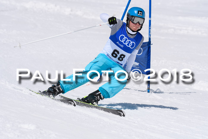 Ski Golf Masters 2018, Riesenslalom