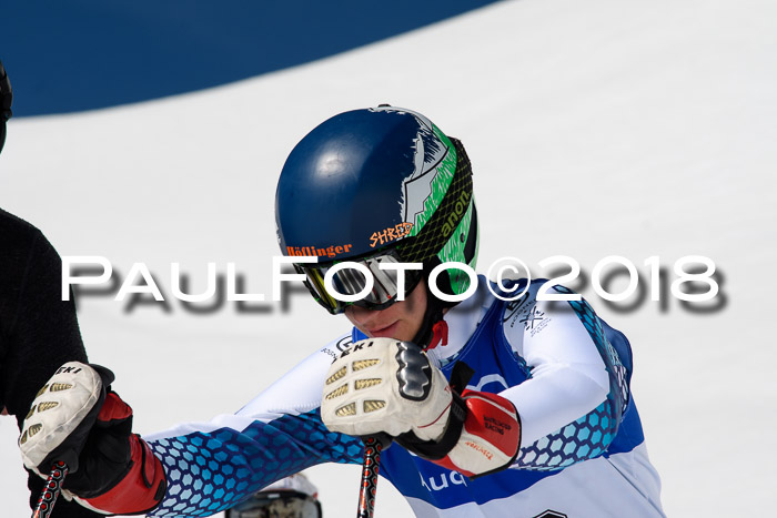 Ski Golf Masters 2018, Riesenslalom