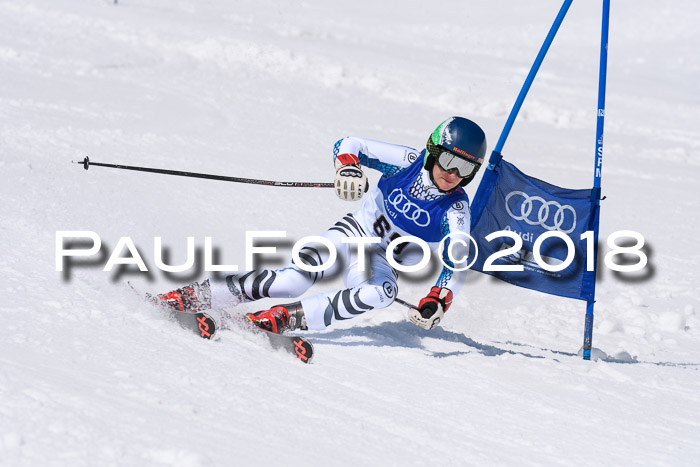 Ski Golf Masters 2018, Riesenslalom