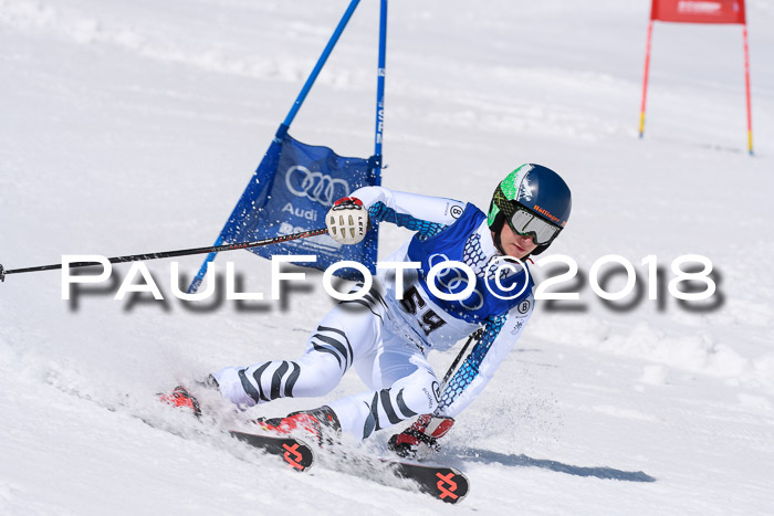 Ski Golf Masters 2018, Riesenslalom