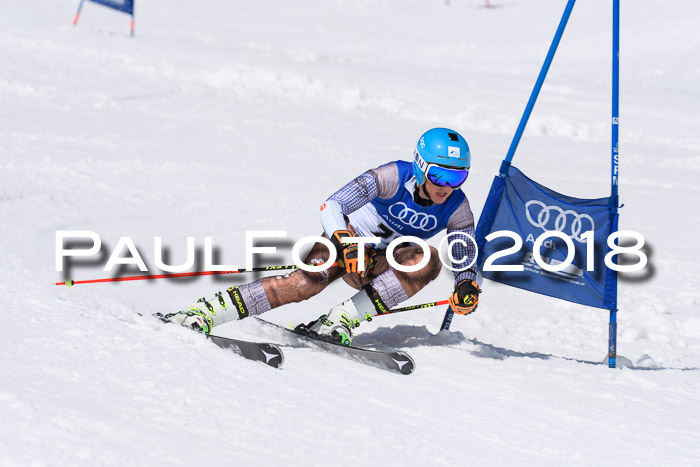 Ski Golf Masters 2018, Riesenslalom