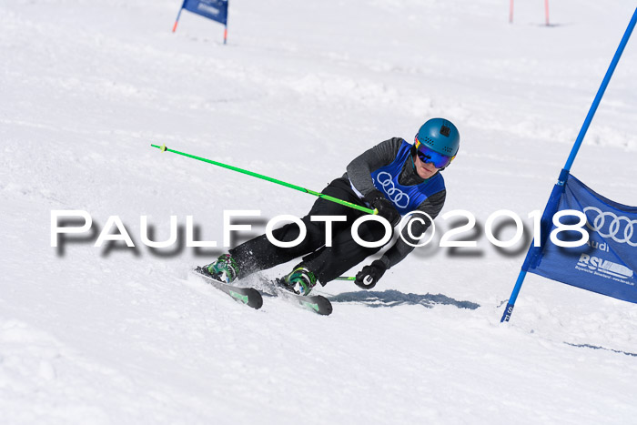 Ski Golf Masters 2018, Riesenslalom