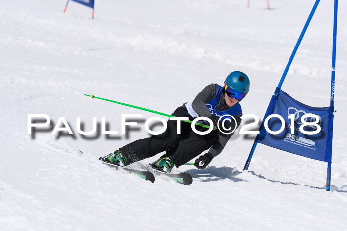 Ski Golf Masters 2018, Riesenslalom