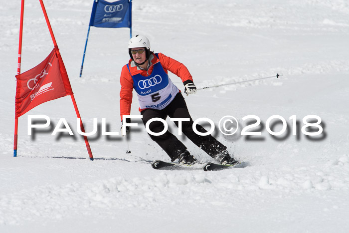 Ski Golf Masters 2018, Riesenslalom