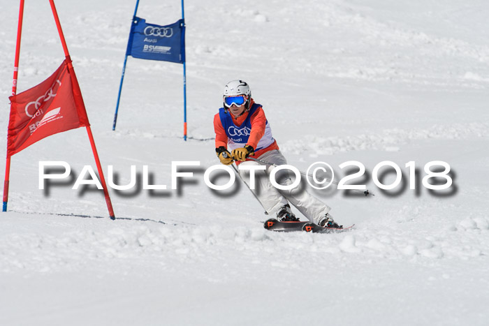 Ski Golf Masters 2018, Riesenslalom
