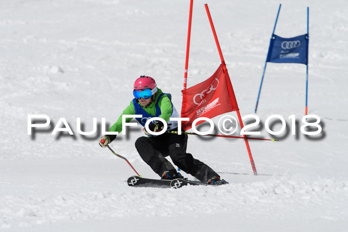 Ski Golf Masters 2018, Riesenslalom