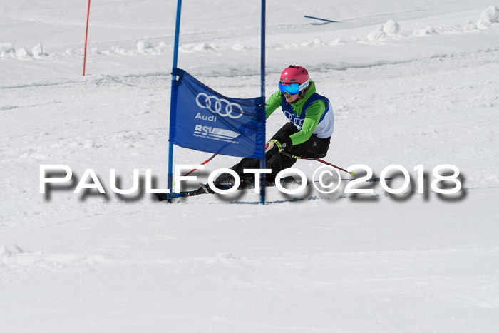 Ski Golf Masters 2018, Riesenslalom