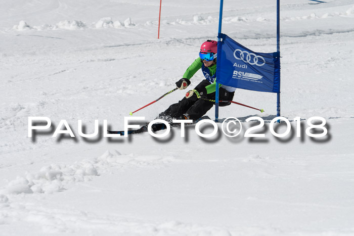 Ski Golf Masters 2018, Riesenslalom