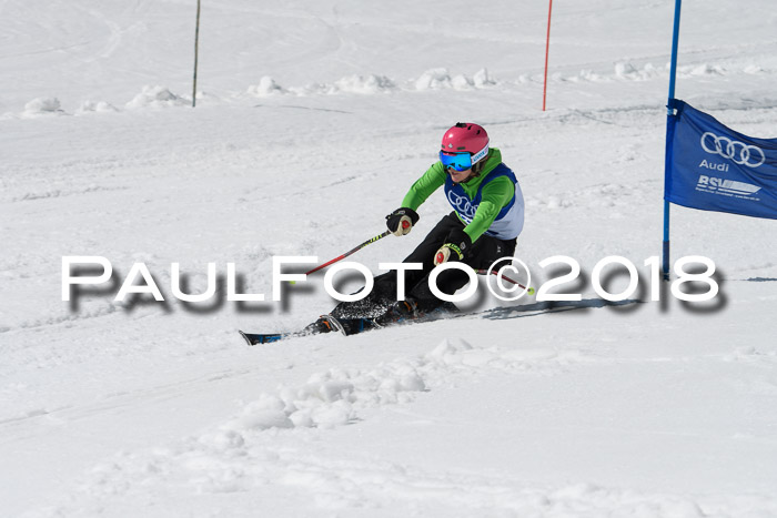 Ski Golf Masters 2018, Riesenslalom