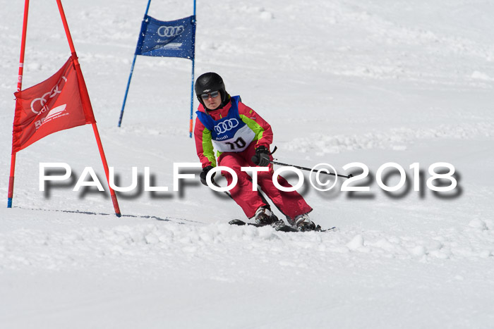 Ski Golf Masters 2018, Riesenslalom