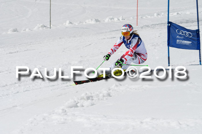 Ski Golf Masters 2018, Riesenslalom