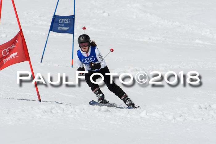 Ski Golf Masters 2018, Riesenslalom