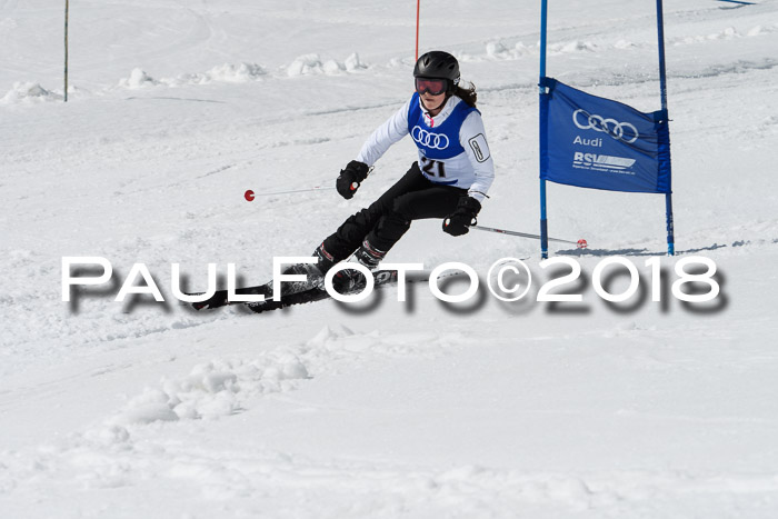 Ski Golf Masters 2018, Riesenslalom