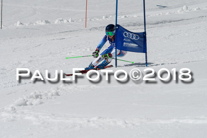 Ski Golf Masters 2018, Riesenslalom