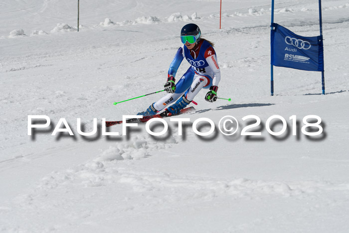 Ski Golf Masters 2018, Riesenslalom