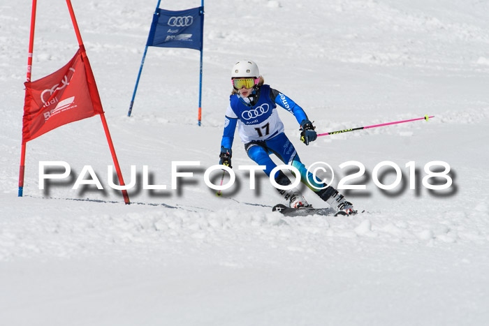 Ski Golf Masters 2018, Riesenslalom