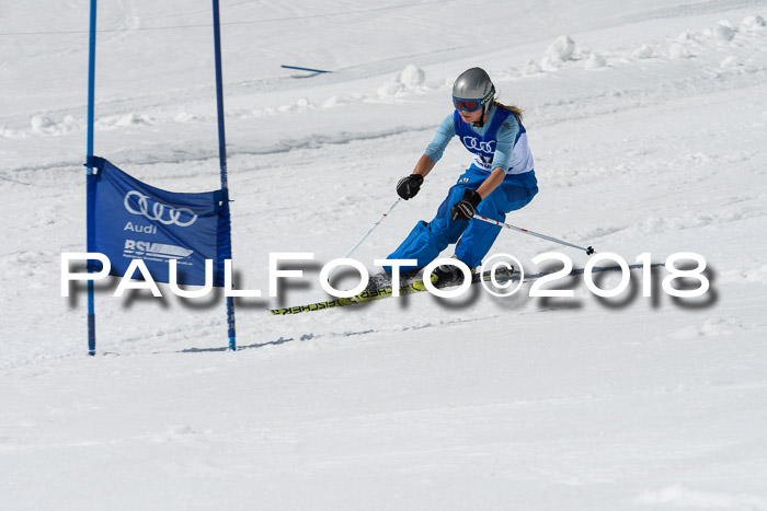 Ski Golf Masters 2018, Riesenslalom