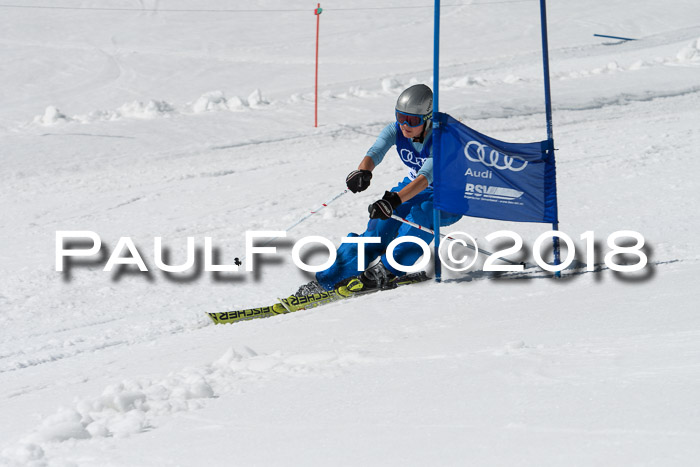 Ski Golf Masters 2018, Riesenslalom