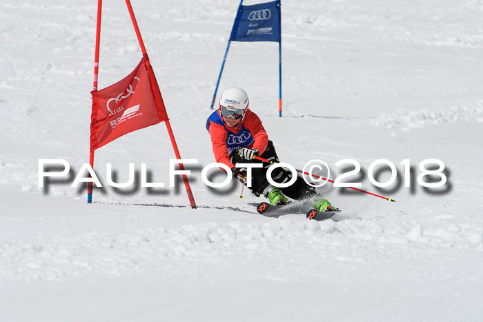 Ski Golf Masters 2018, Riesenslalom