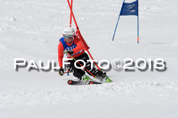 Ski Golf Masters 2018, Riesenslalom