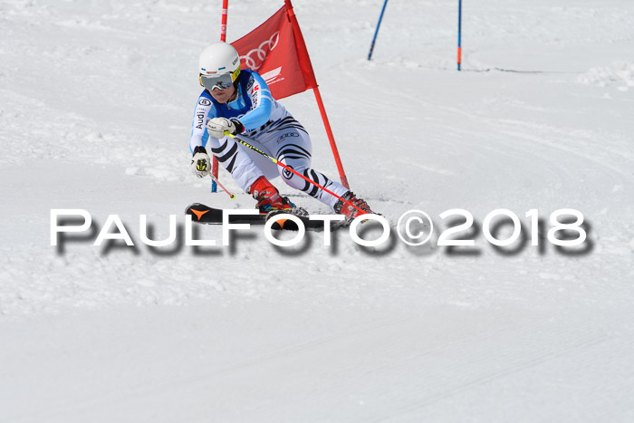 Ski Golf Masters 2018, Riesenslalom
