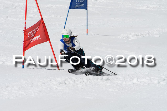 Ski Golf Masters 2018, Riesenslalom
