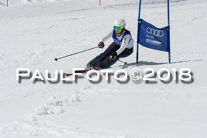 Ski Golf Masters 2018, Riesenslalom