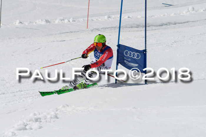 Ski Golf Masters 2018, Riesenslalom
