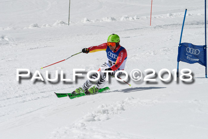 Ski Golf Masters 2018, Riesenslalom