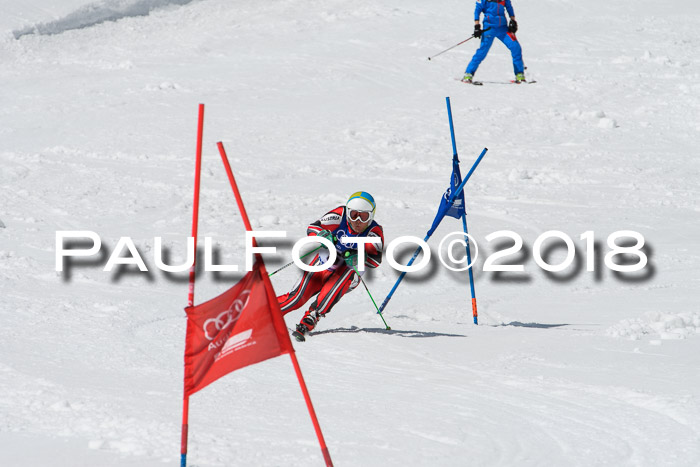 Ski Golf Masters 2018, Riesenslalom