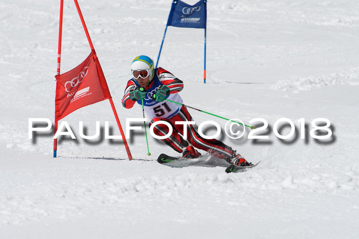 Ski Golf Masters 2018, Riesenslalom
