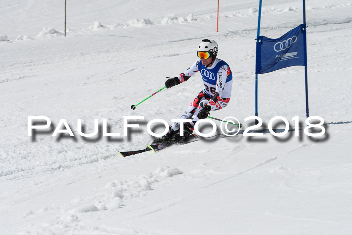 Ski Golf Masters 2018, Riesenslalom
