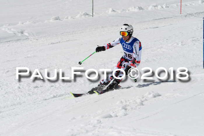Ski Golf Masters 2018, Riesenslalom