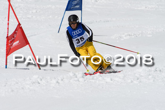 Ski Golf Masters 2018, Riesenslalom