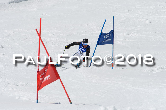 Ski Golf Masters 2018, Riesenslalom