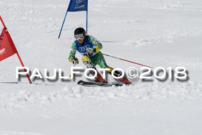 Ski Golf Masters 2018, Riesenslalom